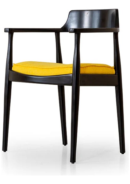 Ahşap Kollu Modern Sandalye