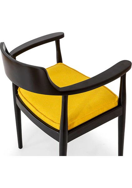 Ahşap Kollu Modern Sandalye