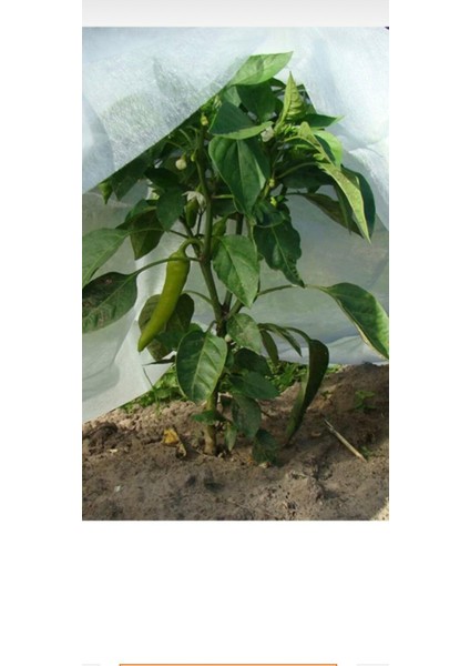 Isı Don Örtüsü Agril Kırağı Örtüsü (160CM*5 M)