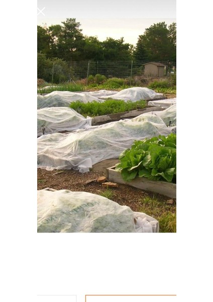 Isı Don Örtüsü Agril Kırağı Örtüsü (160CM*5 M) fiyatları