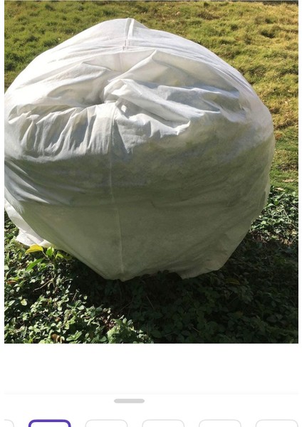 Bitki Örtüsü 80CM*100CM