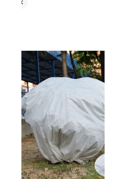 Bitki Örtüsü 80CM*100CM fırsatları