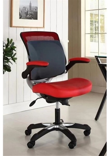 Visco Medikal Ortopedik Bel Minderi Visko Koltuk Sandalye Sırt Desteği Oto ve Çalışma