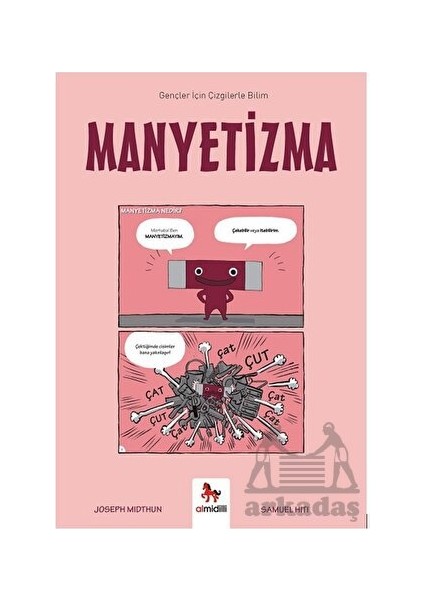 Manyetizma – Gençler Için Çizgilerle Bilim