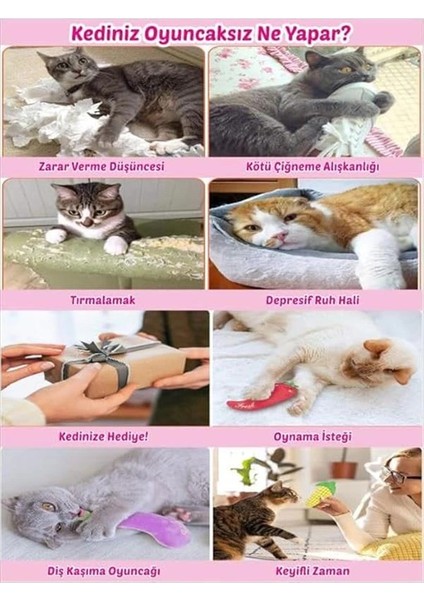Kediler Için Yumuşak Peluş ve Kumaş Oyuncaklar, Set Halinde Içerisinde Ses ve Kedi Naneli, Stres indirimleri
