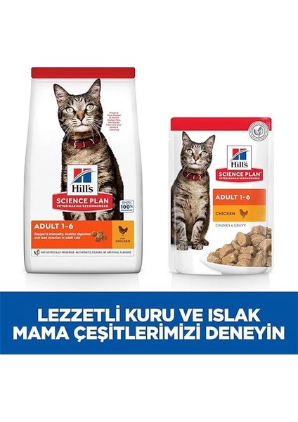 Hill's Sp Tavuklu Yetişkin Kedi Maması 8+2kg
