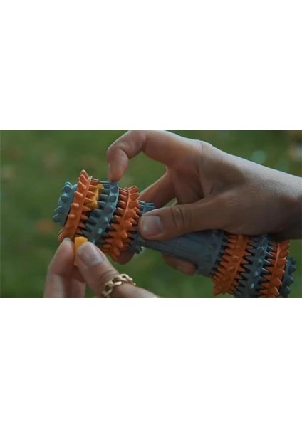 - Kauçuk Çiğneme Oyuncağı, Ağız Temizleyici Köpek Oyuncağı, Diş Kaşıma Oyuncağı, Köpek indirimleri