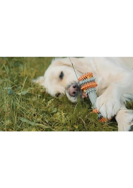 - Kauçuk Çiğneme Oyuncağı, Ağız Temizleyici Köpek Oyuncağı, Diş Kaşıma Oyuncağı, Köpek