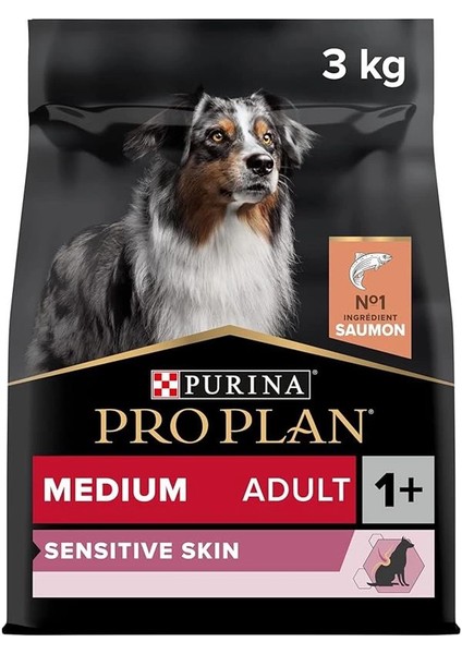 Medium Adult Somonlu Köpek Maması 3 kg