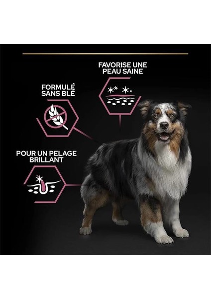 Medium Adult Somonlu Köpek Maması 3 kg