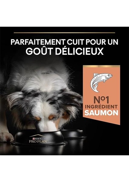 Medium Adult Somonlu Köpek Maması 3 kg