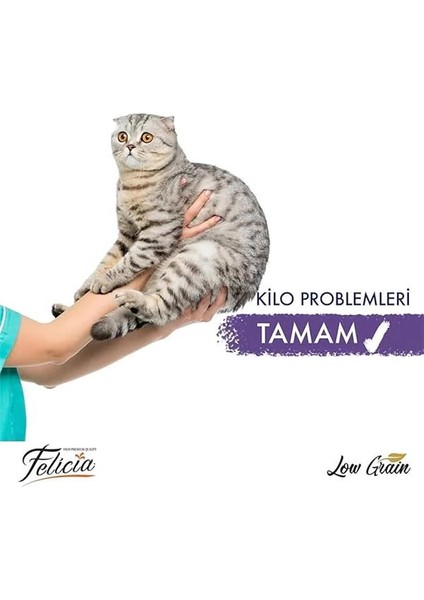 Az Tahıllı Sterilised Somonlu Kedi Maması 12 kg fiyatları