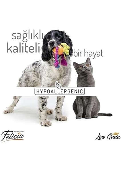 Az Tahıllı Sterilised Somonlu Kedi Maması 12 kg indirimleri