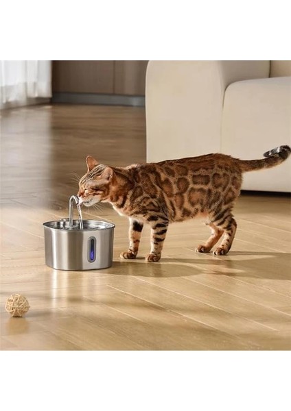 2.2 L Su Seviyesi Göstergeli Paslanmaz Çelik Kedi Köpek Için Su Pınarı Su Çeşmesi Su Sebili Sessiz indirimleri