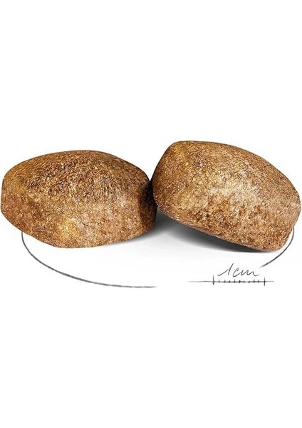 Giant Adult Köpek Maması, 15 kg fiyatları