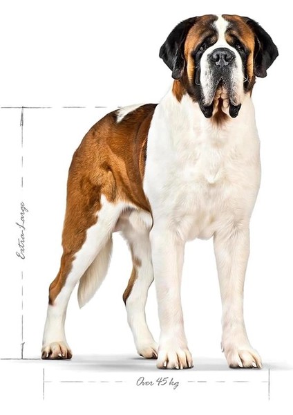 Giant Adult Köpek Maması, 15 kg modelleri