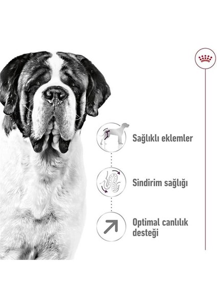 Giant Adult Köpek Maması, 15 kg