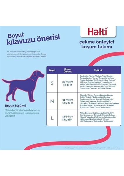 Halti Köpek Çekme Önleyici Göğüs Tasması, Orta Boy modelleri