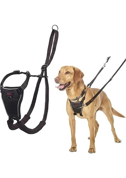 Halti Köpek Çekme Önleyici Göğüs Tasması, Orta Boy