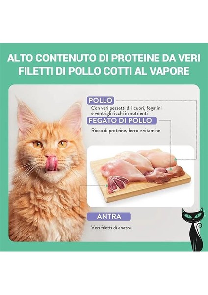 After Dark Tavuk ile Ördek Mus Yetişkin Kedi Pouch 80G indirimleri