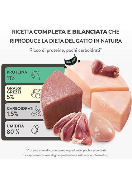 After Dark Tavuk ile Ördek Mus Yetişkin Kedi Pouch 80G