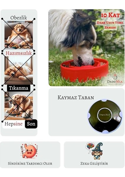 Yavaş Yeme Mama Kabı (Seramik) (Dream) modelleri