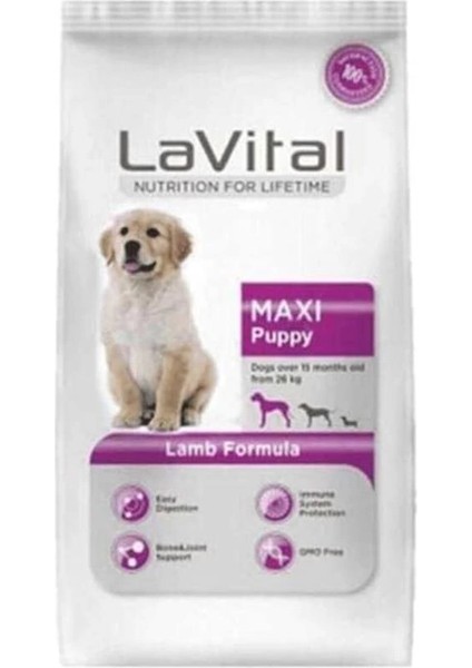 Vital, Büyük Irk Yavru Köpek Maması Kuzulu, 801-103838, 3kg, Standart modelleri