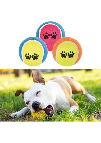 3lü Renkli Desenli Tenis Topu Kedi Köpek Oyuncağı