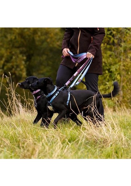 Halti Çift Uçlu Köpek Gezdirme Kayışı, L Boy, Siyah, 2 M fırsatları