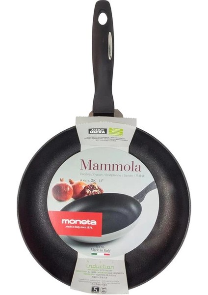 Kızartma Tavası 20 cm Mammola Induction Coin fırsatları