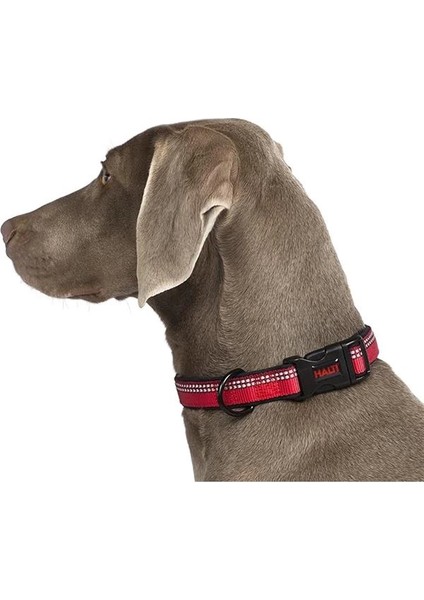 Halti Tasma, M, Mor fırsatları