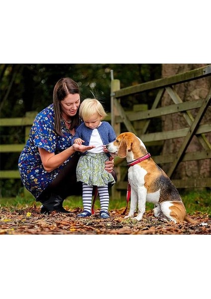 Halti Tasma, M, Mor indirimleri