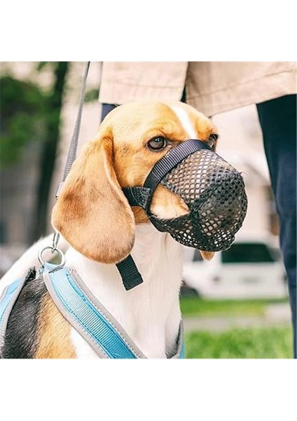 Köpek Ağızlığı, S-M, Siyah