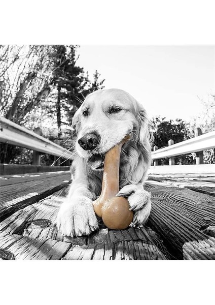 Barkbone Original Bacon Aromalı Bitmeyen Köpek Çiğneme Kemiği – Büyük Boy – Naylon Çubuk, Sağlıklı fiyatları