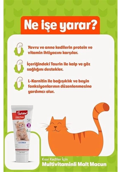 Yavru Kedi Macun 100G ve Yavru ve Anne Kediler Için Bağışıklık Sistemi Destekleyici Macun fırsatları