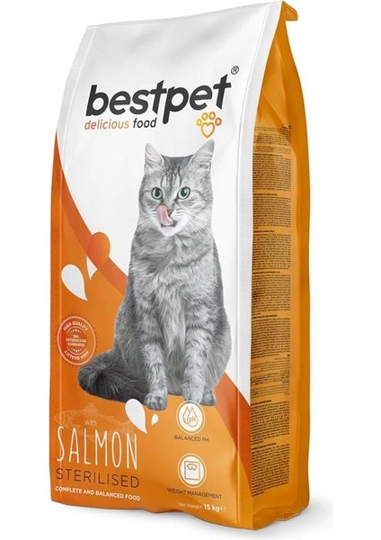 Yetişkin, Kısırlaştırılmış Kediler Için Somonlu Kuru Mama 15 kg