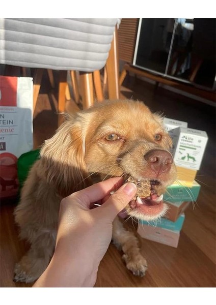 Dana Akciğer Küp Atıştırmalık Köpek Ödül MAMASI%100 Doğal, Glutensiz, Organik 100 gr (Dog indirimleri