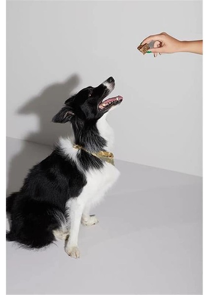 Dana Akciğer Küp Atıştırmalık Köpek Ödül MAMASI%100 Doğal, Glutensiz, Organik 100 gr (Dog