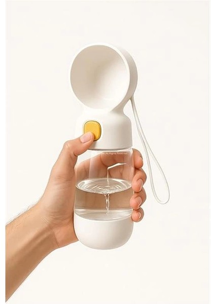 Ikili Katlanabilir Evcil Hayvan Mama Kabı ve Standı Taşınabilir Silikon Mama ve Su Kabı fiyatları