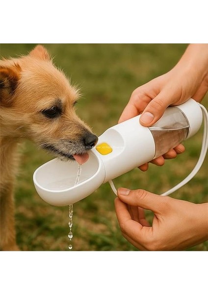 Ikili Katlanabilir Evcil Hayvan Mama Kabı ve Standı Taşınabilir Silikon Mama ve Su Kabı modelleri