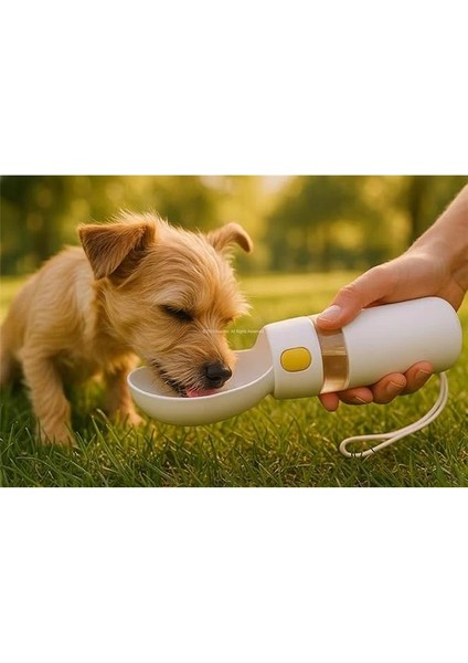 Ikili Katlanabilir Evcil Hayvan Mama Kabı ve Standı Taşınabilir Silikon Mama ve Su Kabı indirimleri