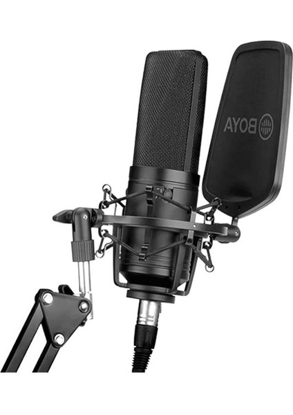 BY-M1000 Stüdyo Mikrofonu, Standart indirimleri