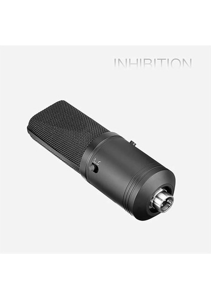 BY-M1000 Stüdyo Mikrofonu, Standart