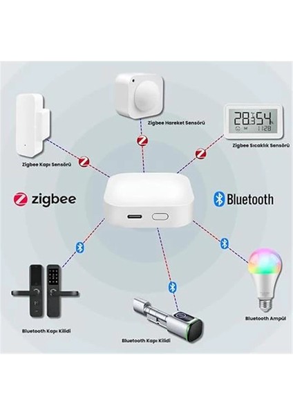 Tuya Uyumlu Zigbee + Bluetooth Köprü Cihazı Type-C Girişli (Tuya, Smart Life Uyumlu Gateway Hub)
