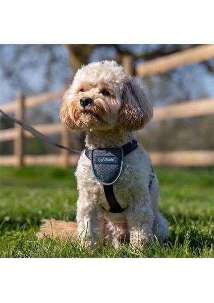 Carsafe Köpek Harness Araba Seyahat Göğüs Tasması, Xsmall Siyah modelleri
