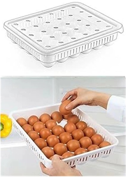 30'lu Kapaklı Yumurta Saklama Kabı, Akrilik Plastik 30'lu Yumurta Saklama Kabı, 30'lu