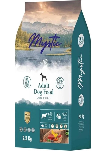 Az Tahıllı Yetişkin Köpek Maması Kuzulu 2,5 kg indirimleri