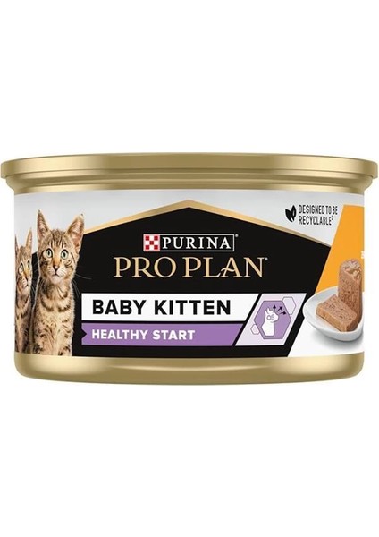 Baby Kitten Mse Chicken (24 x 85 Gr)