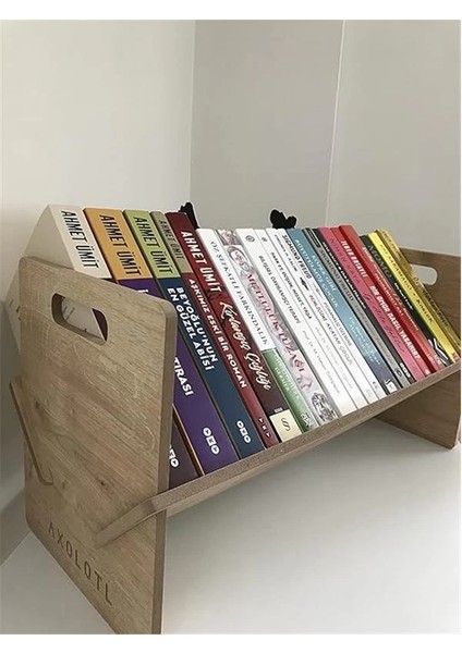 Masaüstü Kitaplık Mini Raf Masaüstü Kitap Düzenleyici (50CM) indirimleri