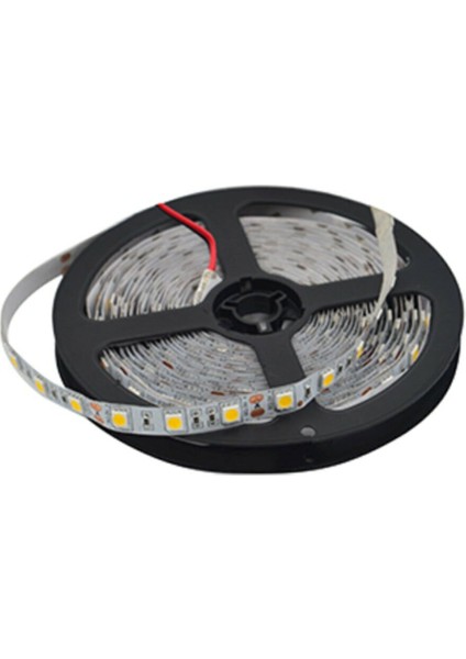 (12-4041) Helios Iç Mekan Günışığı Şerit LED 4040 indirimleri